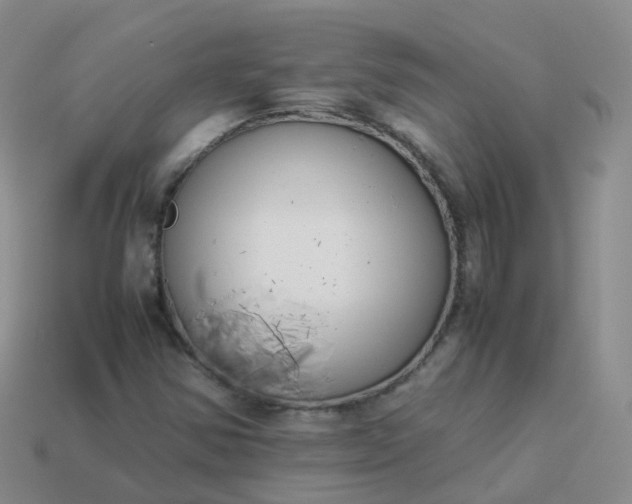 X0000113891354200910081759