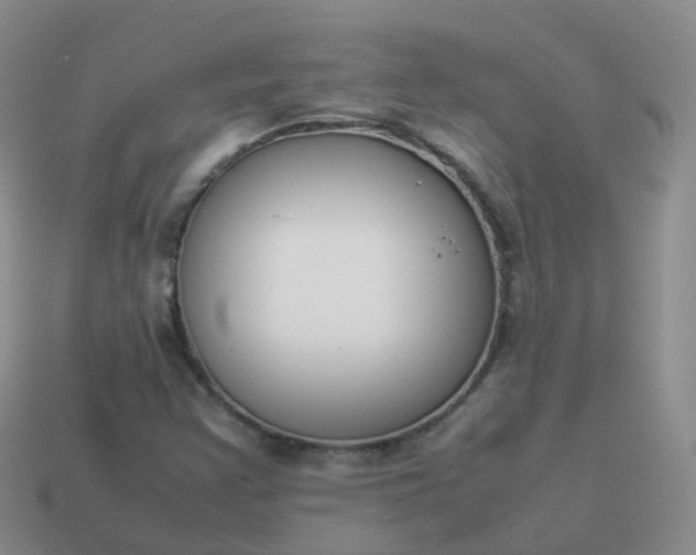 X0000113891355200910081759