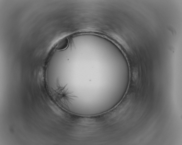 X0000113891356200910081759