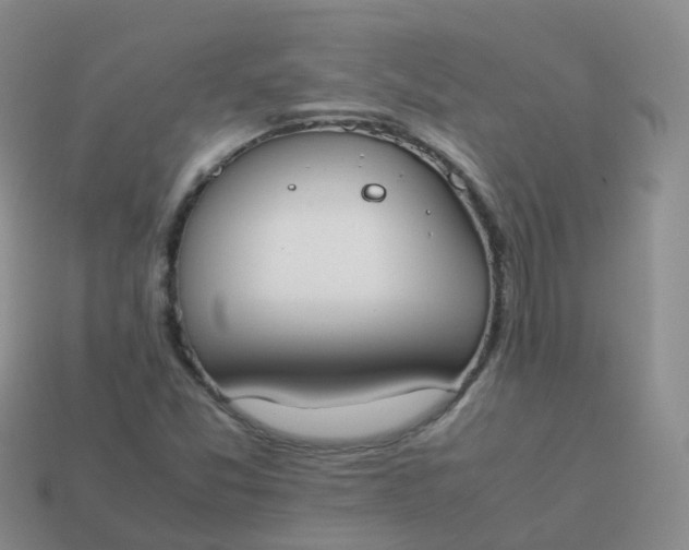 X0000113891357200910081759