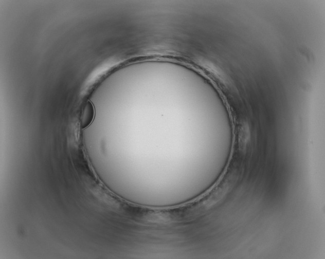 X0000113891358200910081759