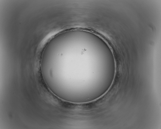 X0000113891359200910081759