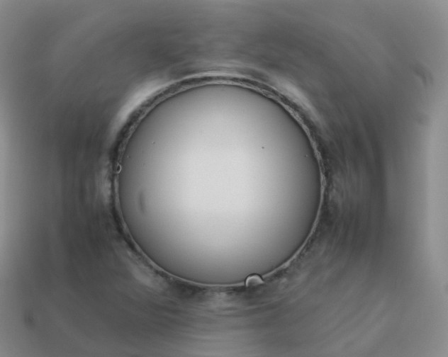 X0000113891360200910081759