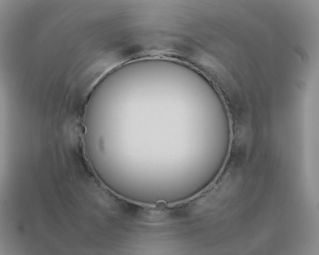 X0000113891361200910081759