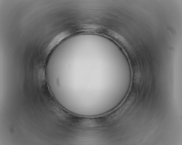 X0000113891362200910081759