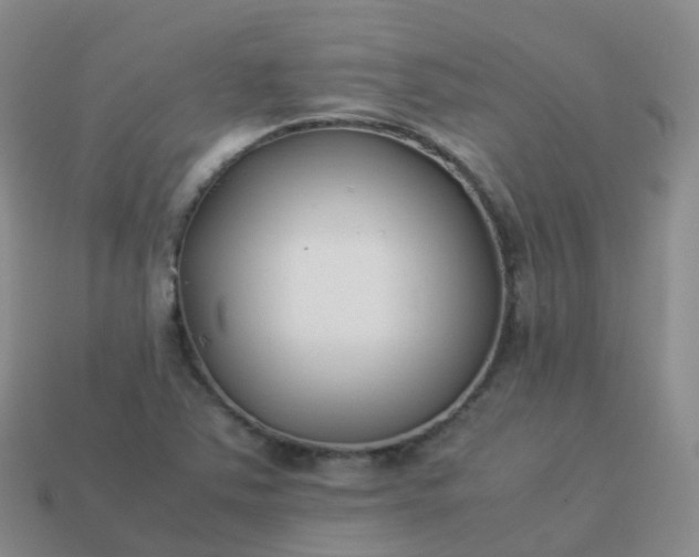 X0000113891363200910081759