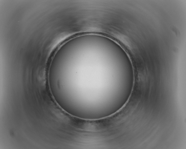 X0000113891364200910081759