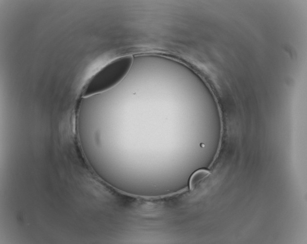 X0000113891365200910081759