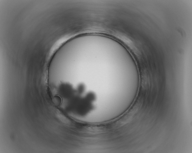 X0000113891366200910081759