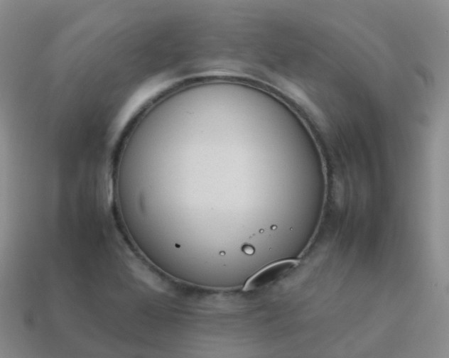 X0000113891368200910081759