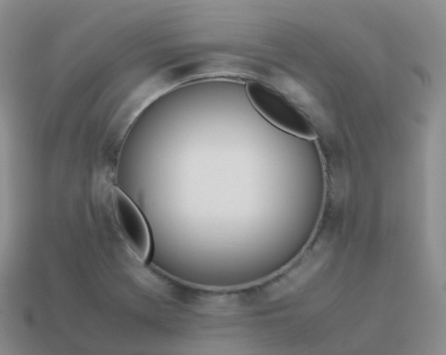 X0000113891369200910081759