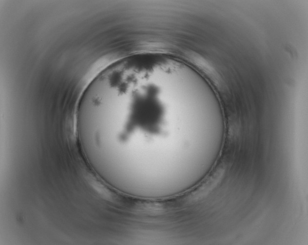 X0000113891370200910081759