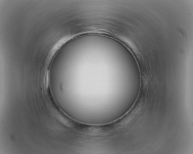 X0000113891371200910081759