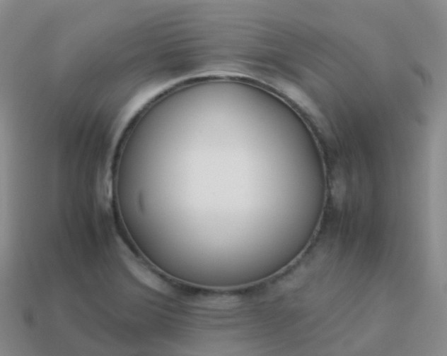 X0000113891372200910081759