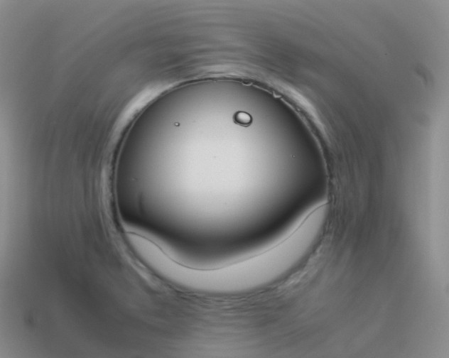 X0000113891373200910081759