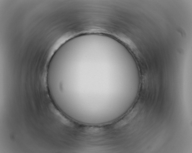 X0000113891374200910081759