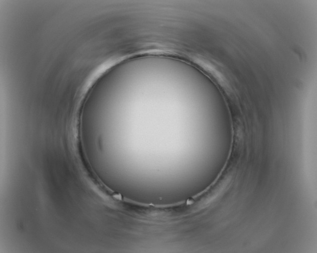 X0000113891375200910081759