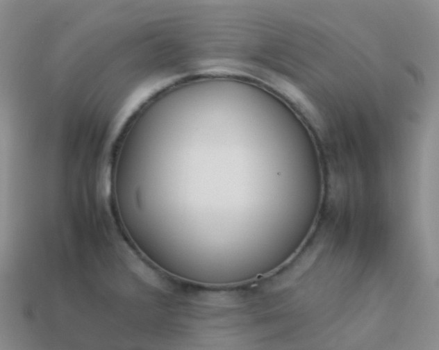 X0000113891376200910081759