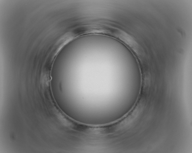 X0000113891377200910081759