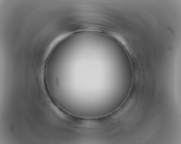 X0000113891379200910081759