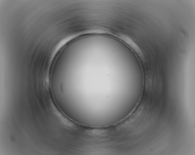 X0000113891380200910081759