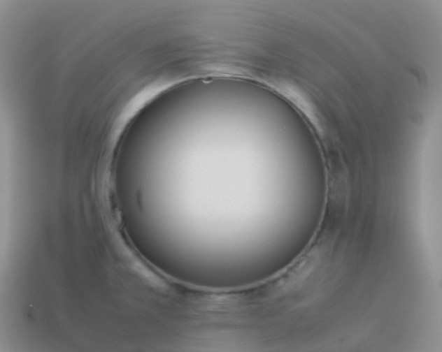 X0000113891381200910081759