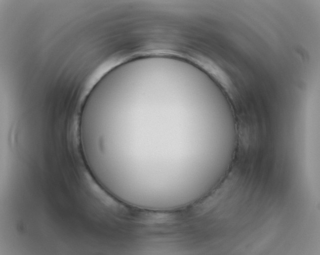 X0000113891382200910081759