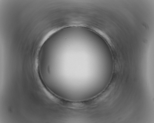 X0000113891383200910081759