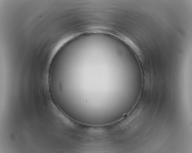 X0000113891384200910081759