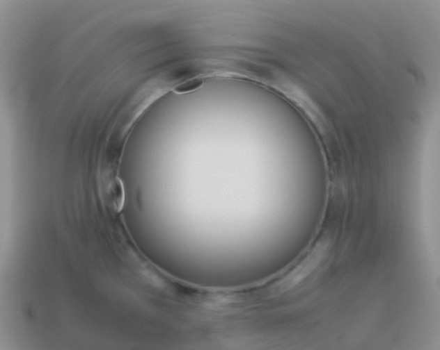 X0000113891385200910081759