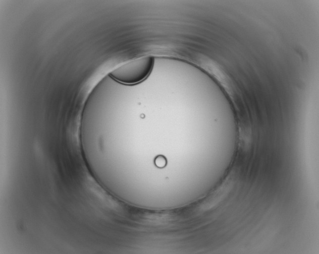 X0000113891386200910081759