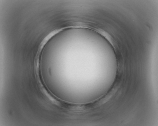 X0000113891387200910081759