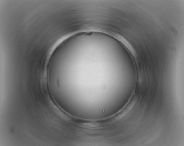 X0000113891388200910081759