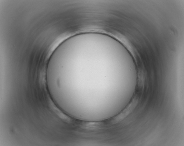 X0000113891390200910081758