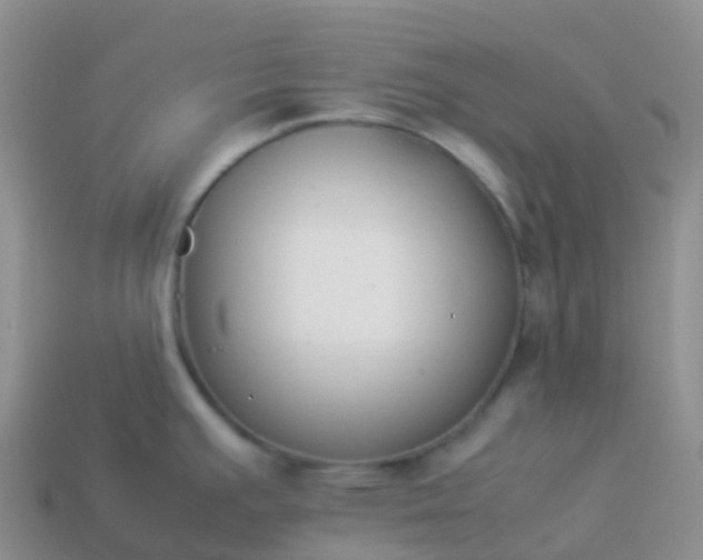 X0000113891391200910081758