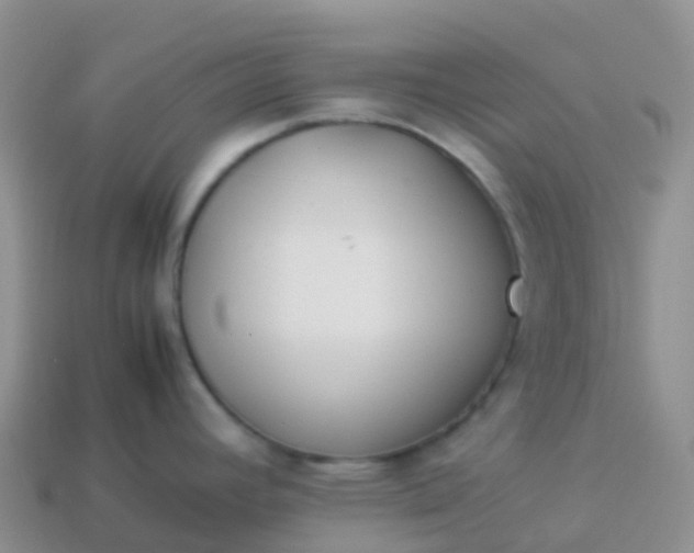 X0000113891392200910081758