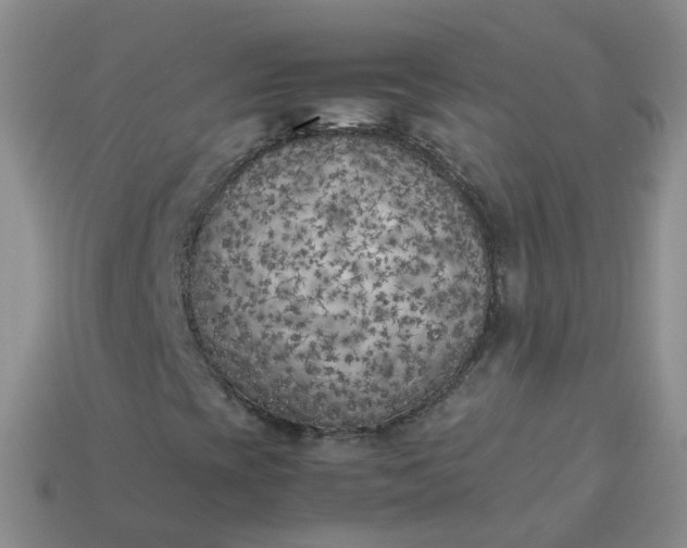 X0000113891393200910081758