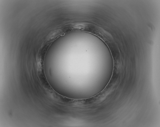 X0000113891394200910081758