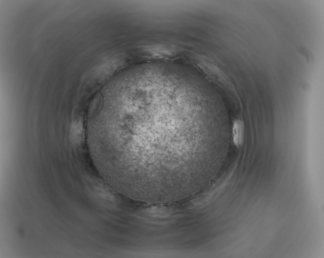 X0000113891395200910081758