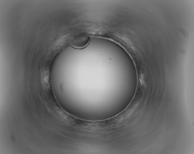 X0000113891396200910081758