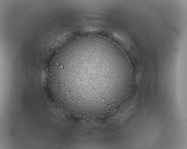 X0000113891397200910081758