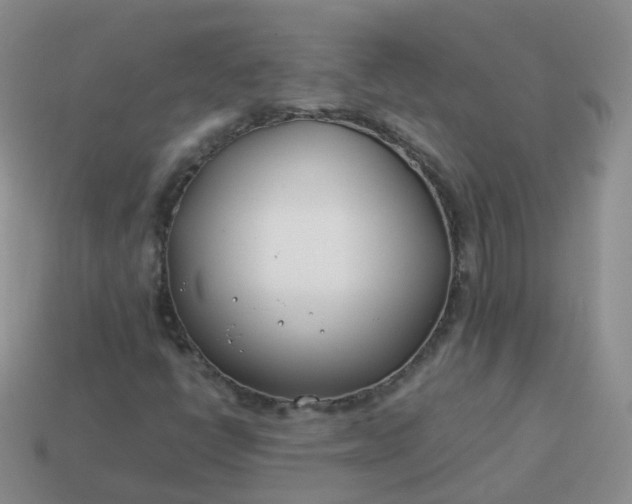 X0000113891398200910081758