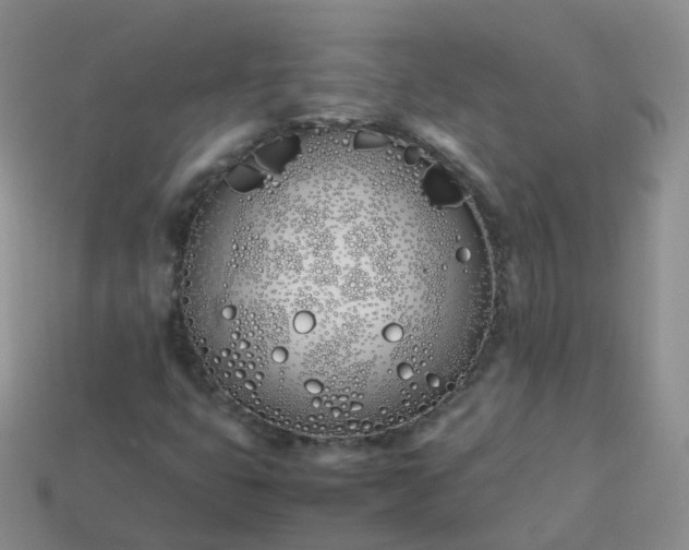 X0000113891399200910081758