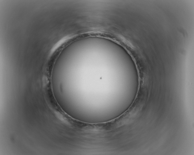 X0000113891400200910081758