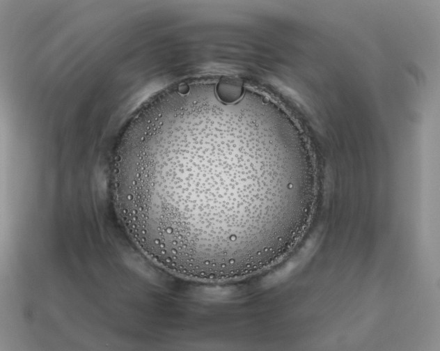 X0000113891401200910081758