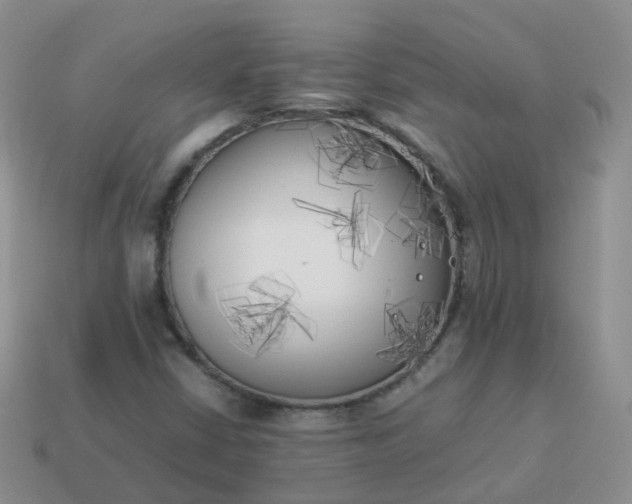 X0000113891402200910081758