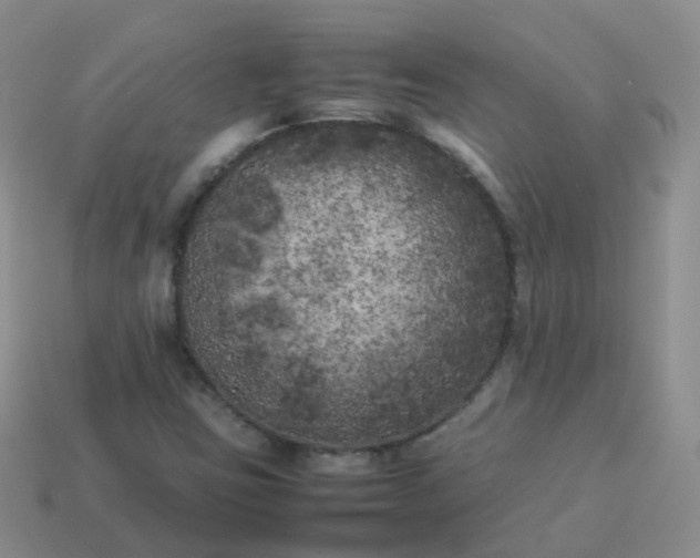 X0000113891403200910081758