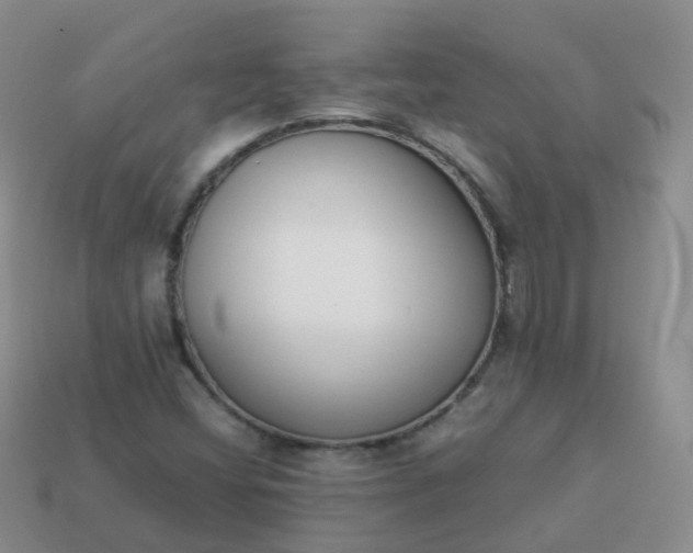 X0000113891404200910081758