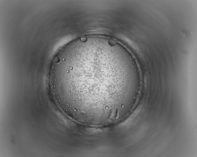 X0000113891405200910081758