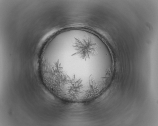 X0000113891406200910081758